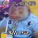 1729188175773862