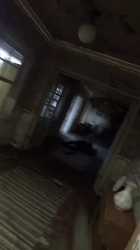 1749035175481925