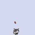 cat throwing brick gif