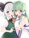 __kochiya_sanae_and_konpaku_youmu_touhou_drawn_by_kagerou_shadowmage__ed16e78a4c32eeea4aff46a6e788940e