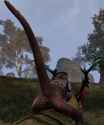 HouseHexosGreaves