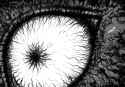 Hellstar Remina