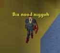 bix nood