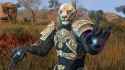 ESO-zerith-var-companion-builds