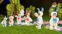 rabbits