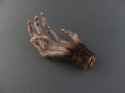 monkey paw