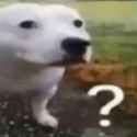 huh