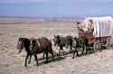 wagonwhen