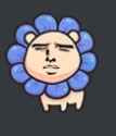 5 KB