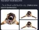 45 KB