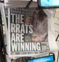 Rat_winning.png