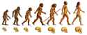 Evolution.jpg