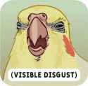 Disgust parrot.png