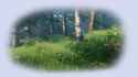 biome_meadows.png