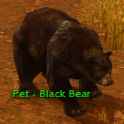 pet - black bear.jpg