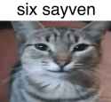 41 KB