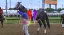 3.16 MB