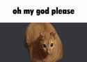 130 KB
