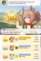 505 KB