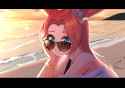 262 KB