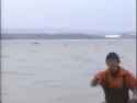 1 MB