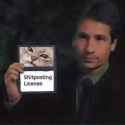 21 KB
