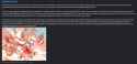 433 KB