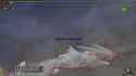 1.75 MB