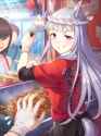 2.46 MB