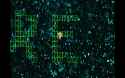 504 KB
