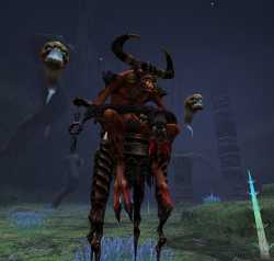 206 KB