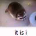 113 KB