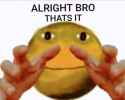 24 KB