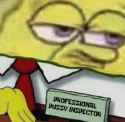 229 KB