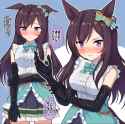1.74 MB