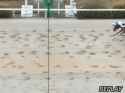 381 KB