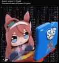 253 KB