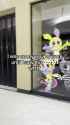 Rule 34 Rule 34 Video