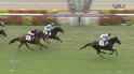 305 KB