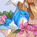 howbirb