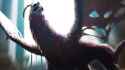 Umbral_Beast