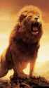 roaring_lion