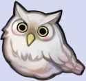 Feh_the_Owl