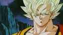 ssj2goku