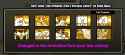 Screenshot_20250625-104004