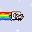 21 KB