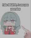 333 KB