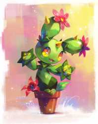 maractus