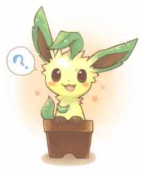 leafeon