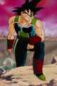 Bardock_BTFOG